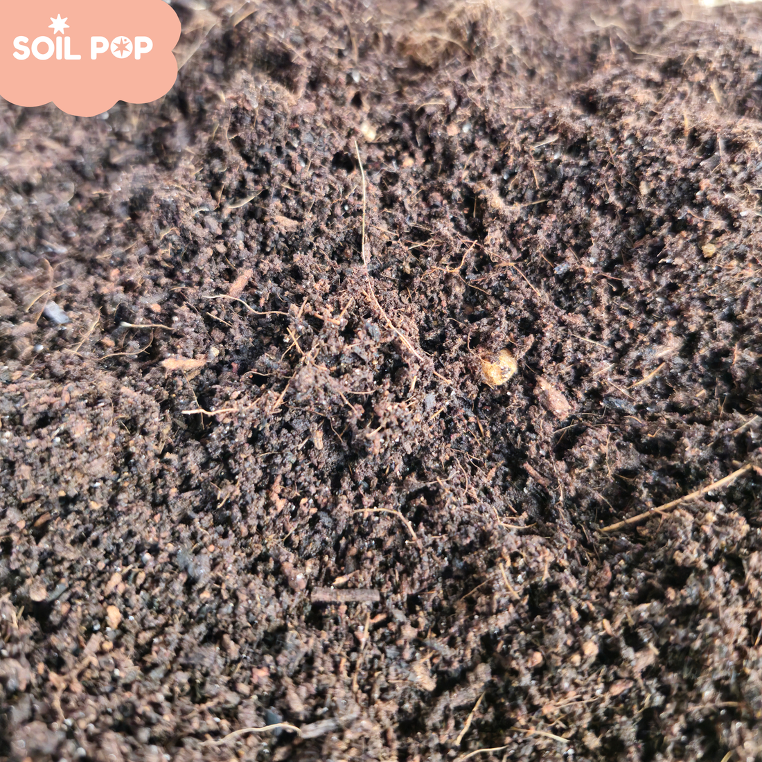 What Is Cocopeat? Complete Guide to Uses, Benefits & How to Use It for Your Plants