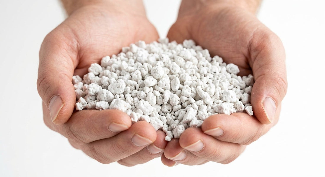 What is Perlite? Complete Guide (Uses, Types & Benefits for Plants)