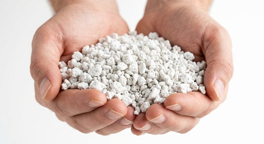 What is Perlite? Complete Guide (Uses, Types & Benefits for Plants)