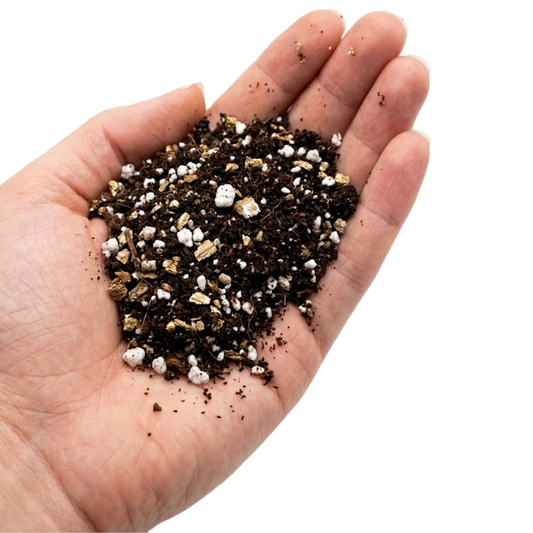 Soil Pop Seed Starting Mix 1kg professional soilless germination medium India