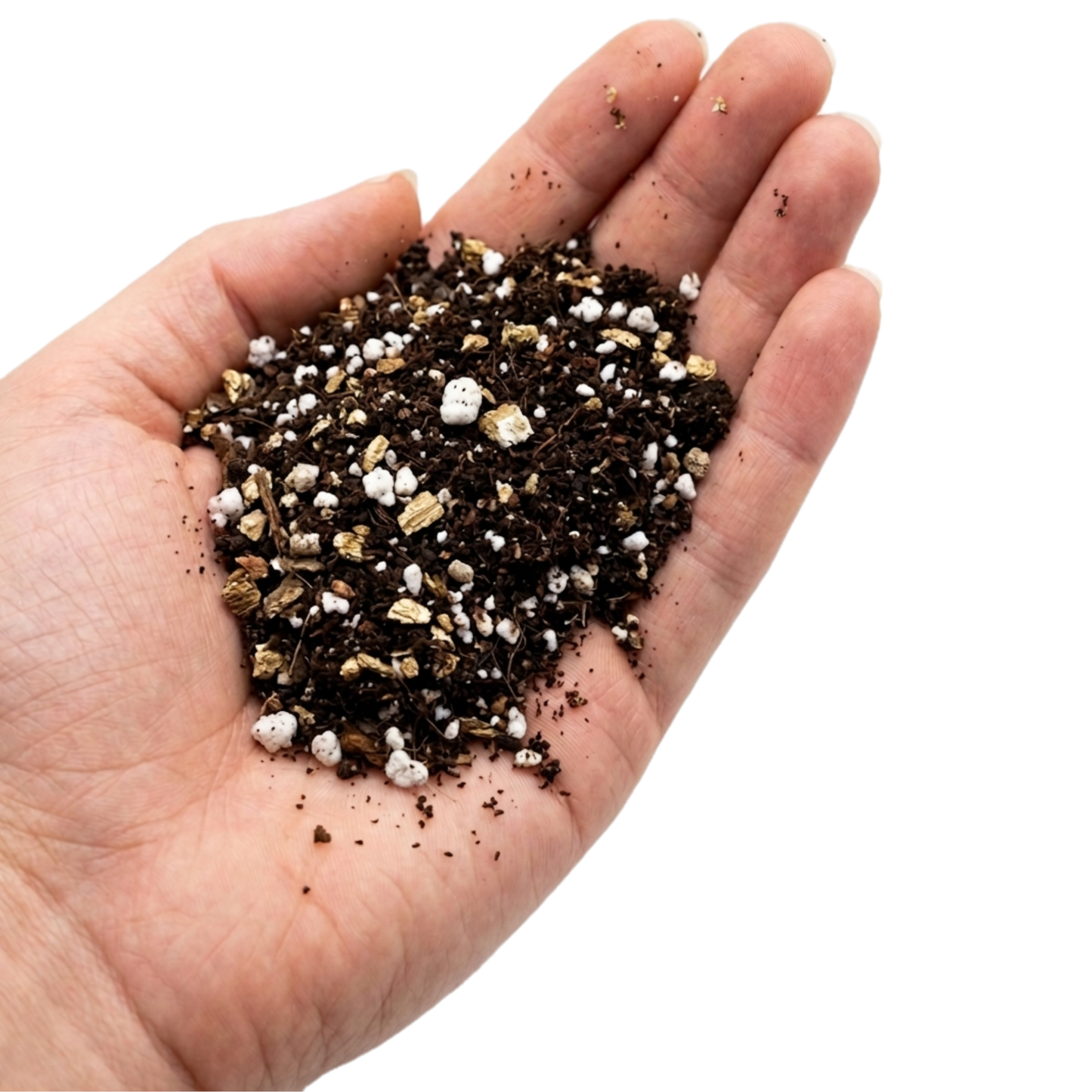 Soil Pop Seed Starting Mix 1kg professional soilless germination medium India